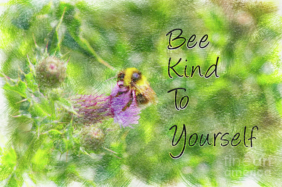Be kind to yourself Photograph by Pics By Tony