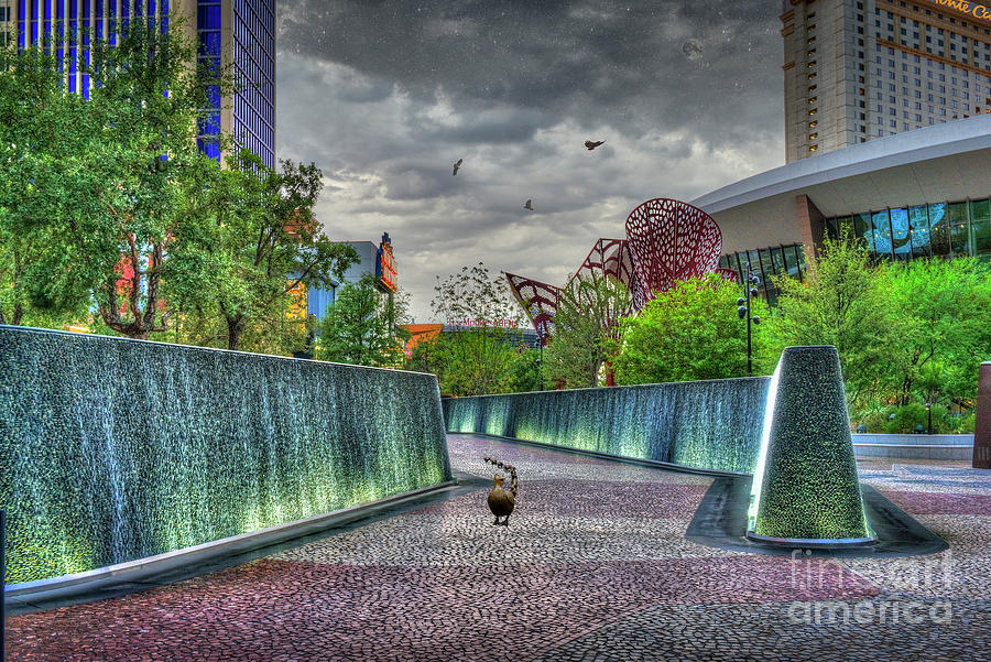 Walking Like A Duck Photograph by David Zanzinger