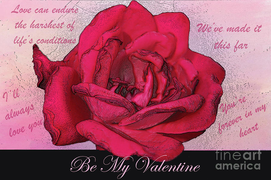 Be My Valentine Photograph by Nina Silver
