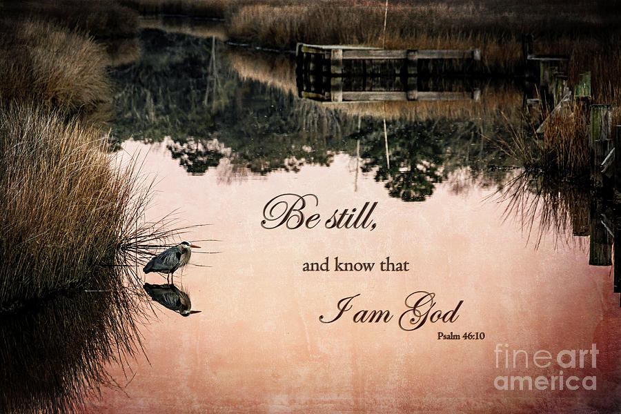 Heron Photograph - Be Still and know that I am God Inspirational Art by Joan McCool