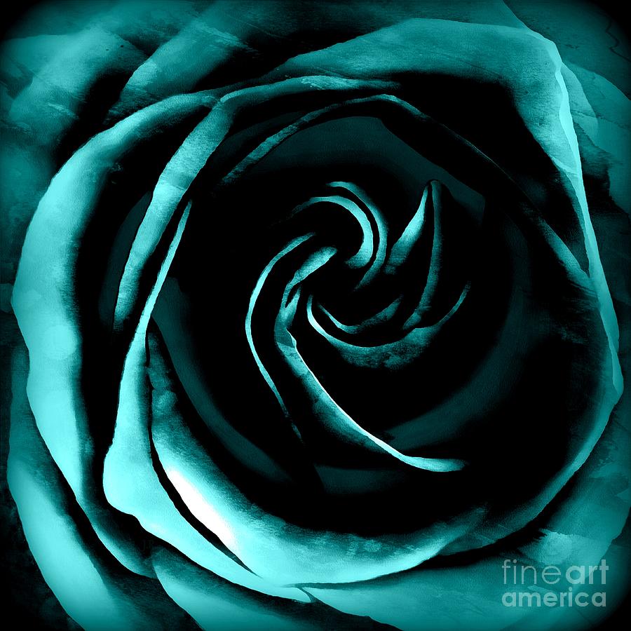 Be Still My soul - Teal Blue Rose  Photograph by Janine Riley