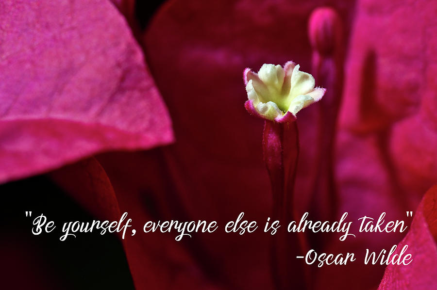 Be yourself, everyone else is already taken Photograph by Angelo DeVal