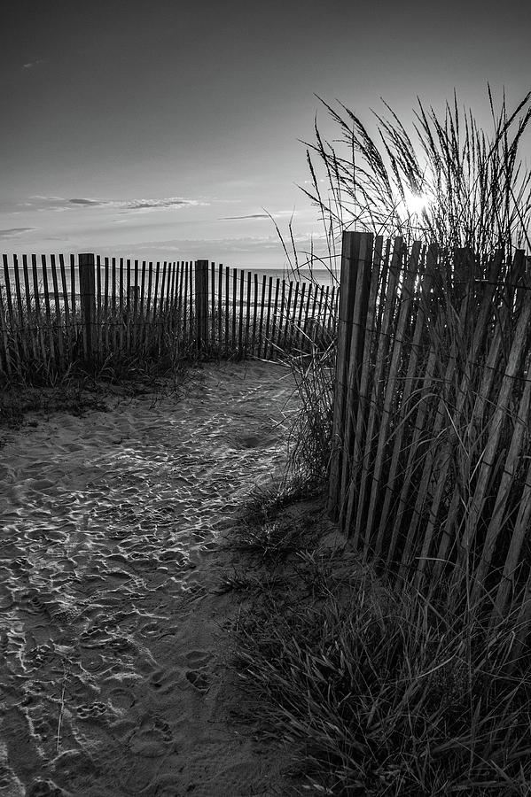 Beach-1 Photograph by Jason Funk
