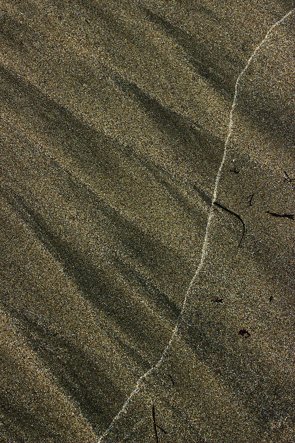 Beach Abstract 25 Photograph by Morgan Wright
