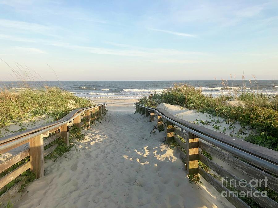 Beach Access Photograph by Flavia Westerwelle