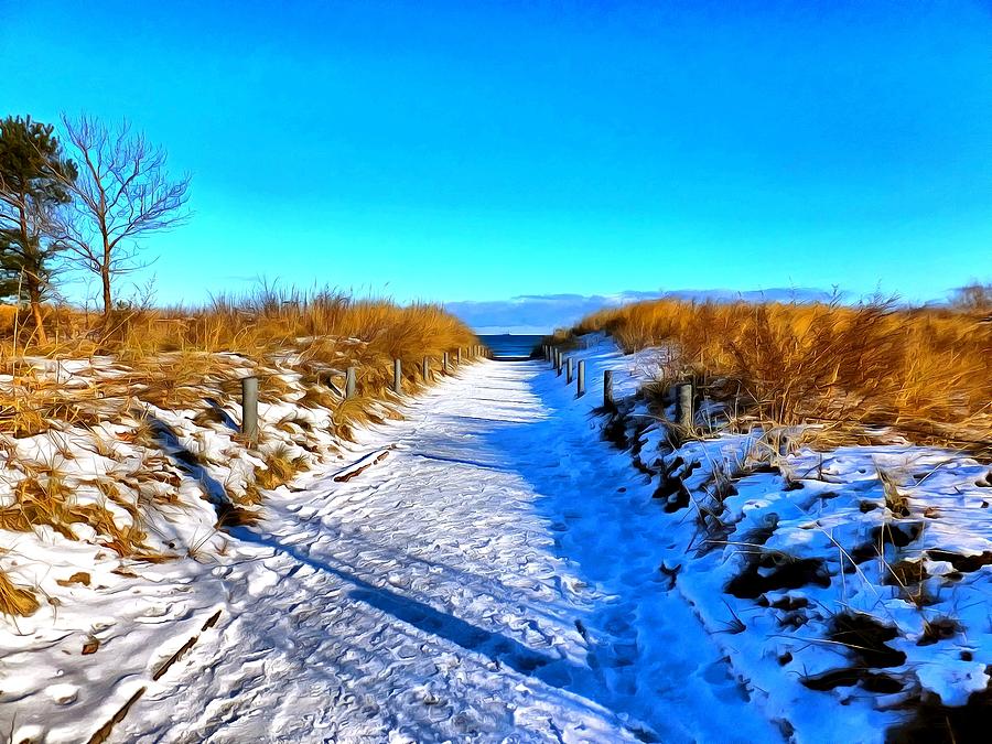 Beach access in winter Digital Art by Ralph Kaehne