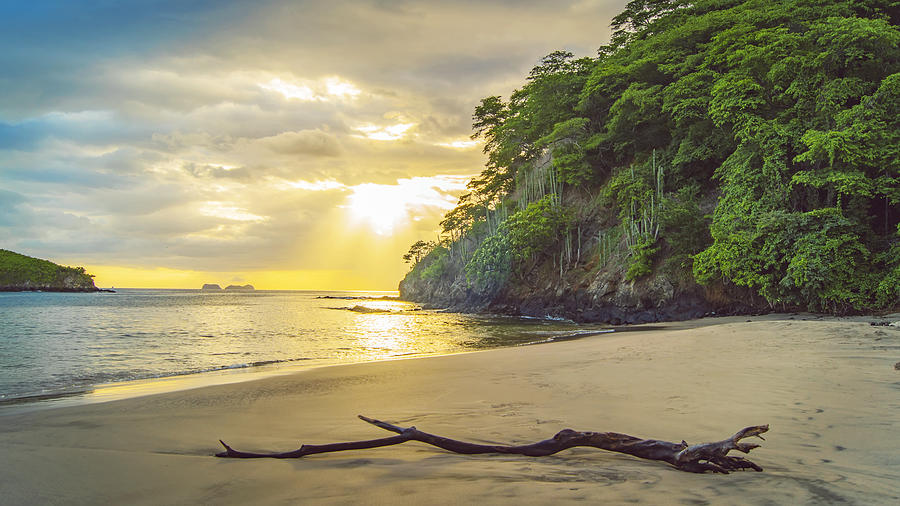 Beach and Jungle at Sunset in Costa Rica Photograph by Kryssia Campos