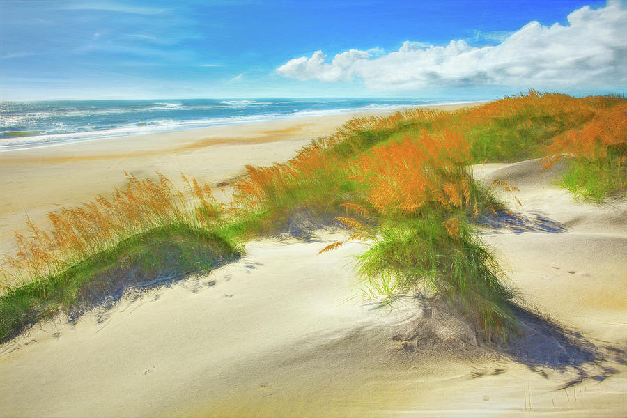 Beach and Sand Dunes 1 DecorArt Photograph by Dan Carmichael