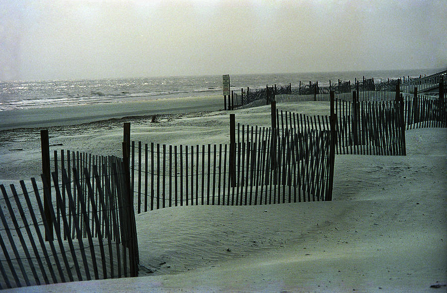 Hilton Head - Beach and Sand Dunes 1991 #2 Photograph by Frank Romeo