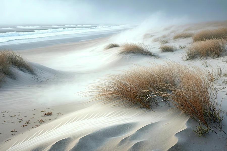 Beach Art 2 Photograph by Athena Mckinzie - Fine Art America