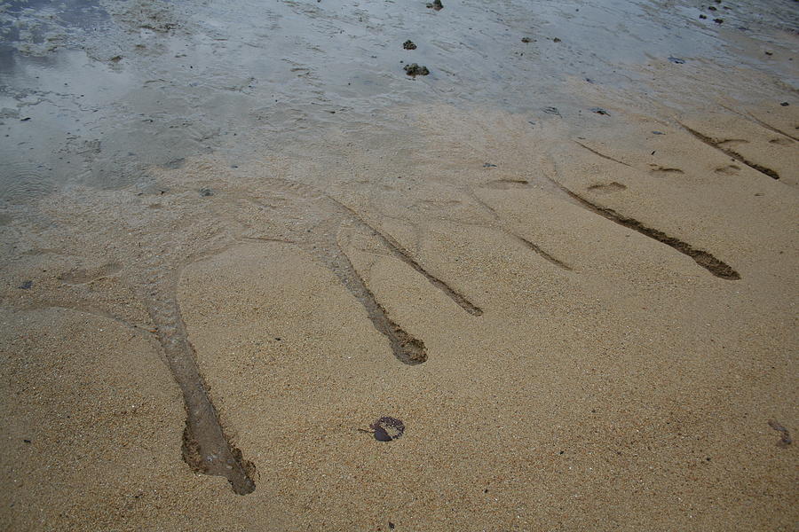 Sand Art Series - Beach Art Photograph by Maryse Jansen