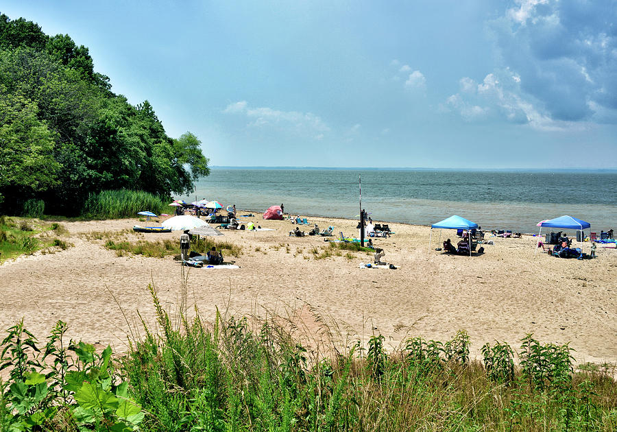 Beach At Elk Neck State Park Maryland By Brendan Reals | lupon.gov.ph