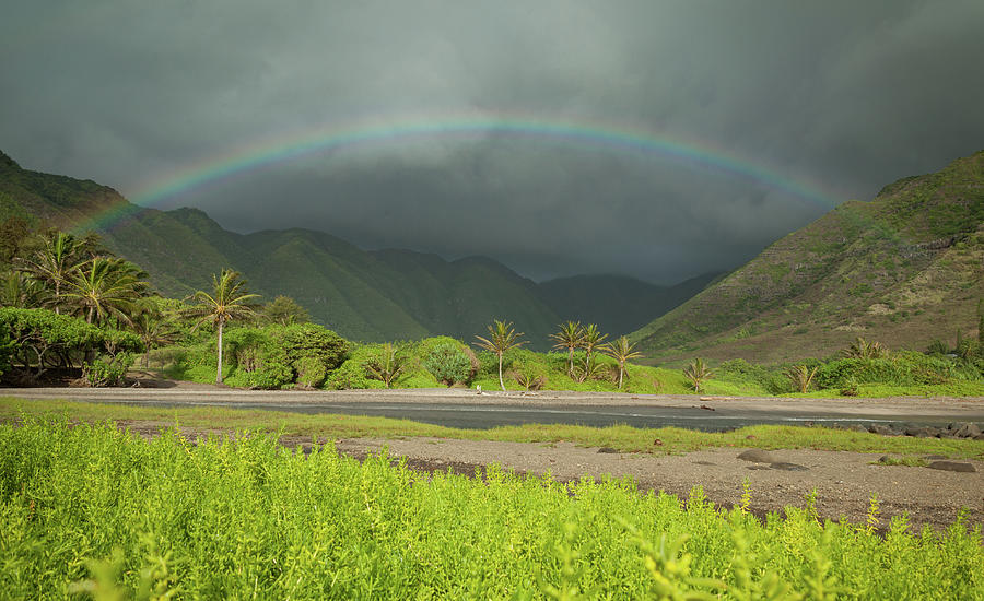 Beach at Halawa Photograph by David Tonnes - Fine Art America