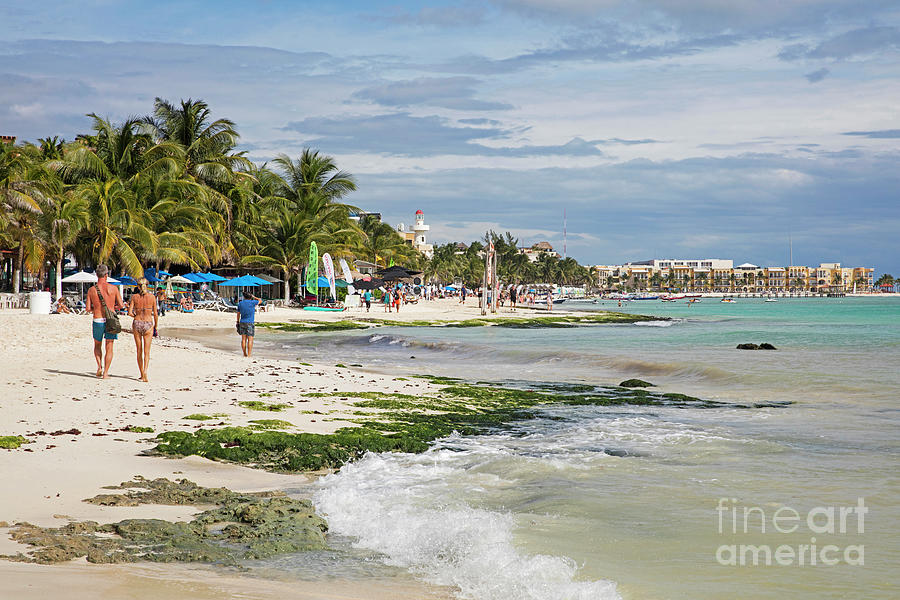 Beach at Playa Del Carmen, Riviera Maya, Yucatan, Mexico Photograph by Arterra Picture Library