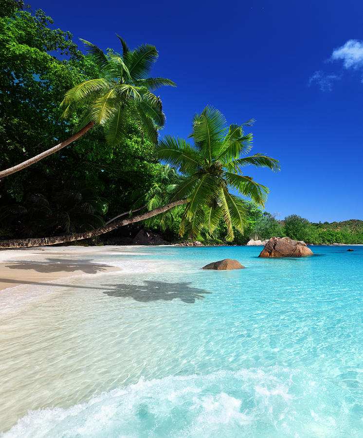 beach at Praslin island, Seychelles Photograph by IakovKalinin