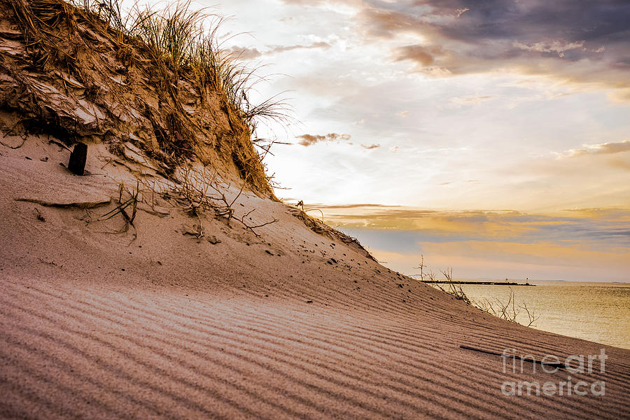 Beauty in the Sand Dunes Photograph by Metanoia Photography Gallery