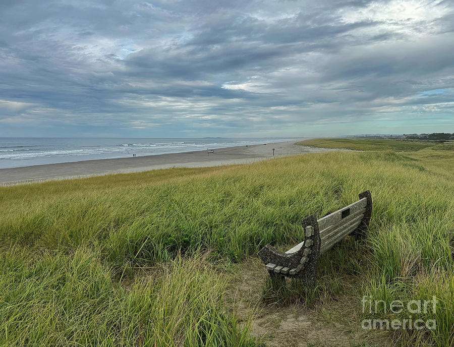 Beach Bench Photograph by Jeanette French