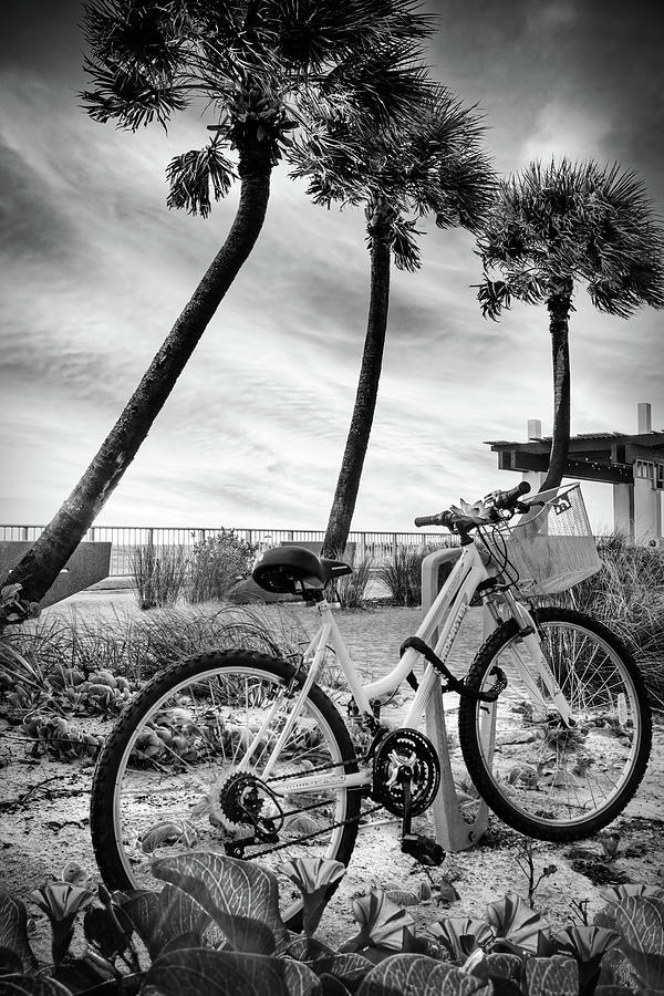 Beach Bike in the Morning Glories Black and White Photograph by Debra and Dave Vanderlaan