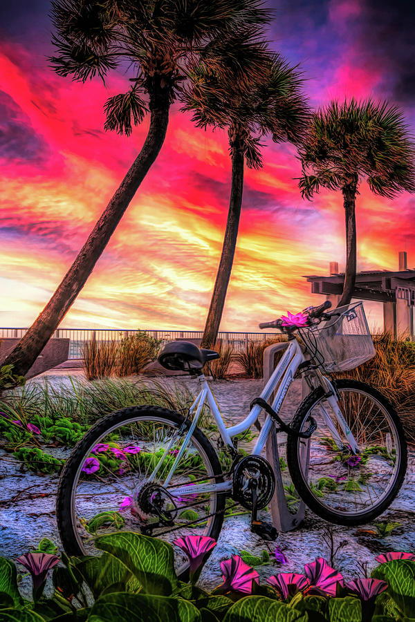 Beach Bike in the Morning Glories Painting Photograph by Debra and Dave Vanderlaan