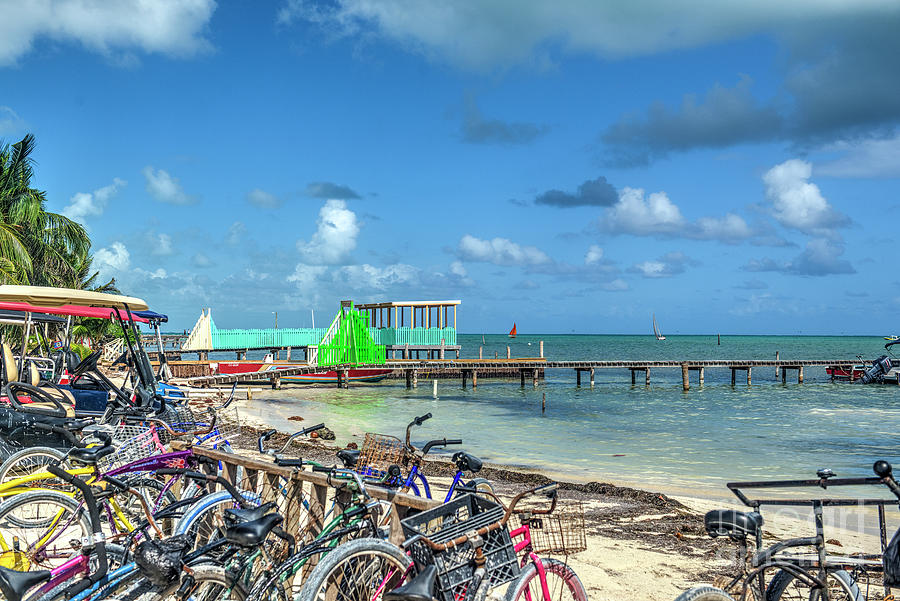 Beach Bikes Free Parking Photograph by David Zanzinger