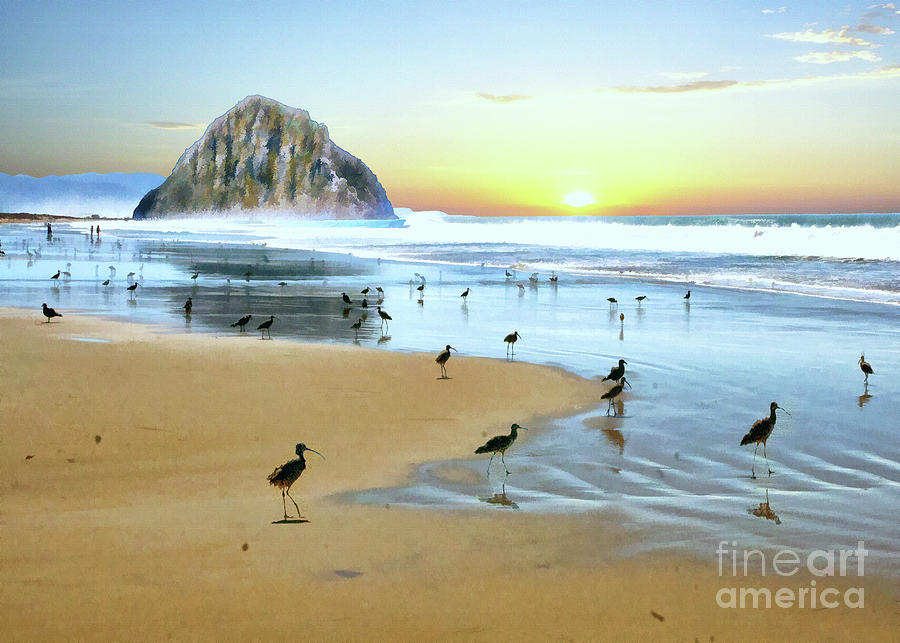 Beach Photograph - Beach Birds III by Sharon Foster