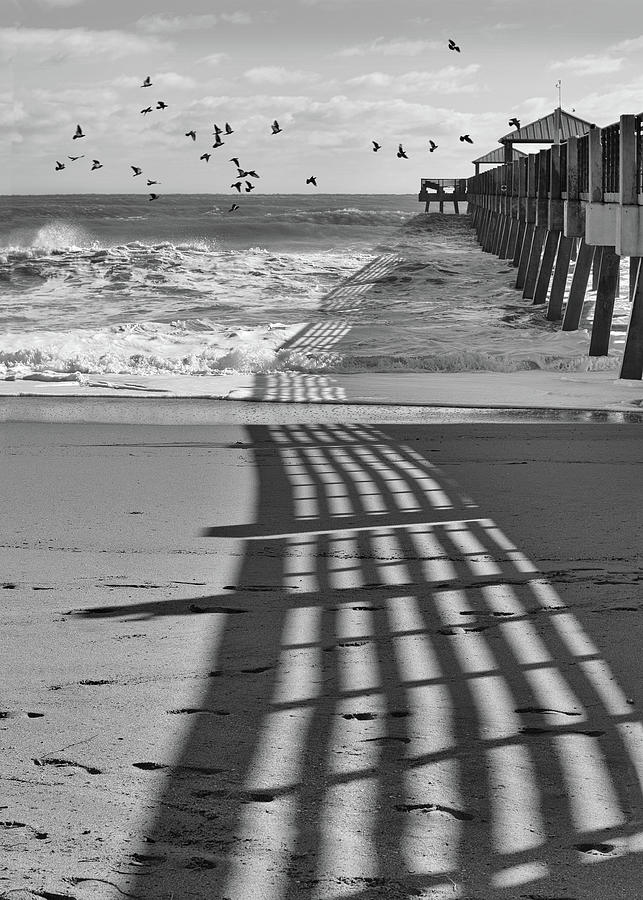 Beach Bliss 2 Black and White Photograph by Laura Fasulo