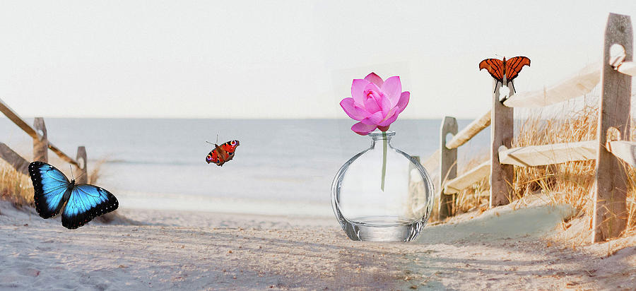 Beach, bottle and Butterflies Digital Art by Steven Parker