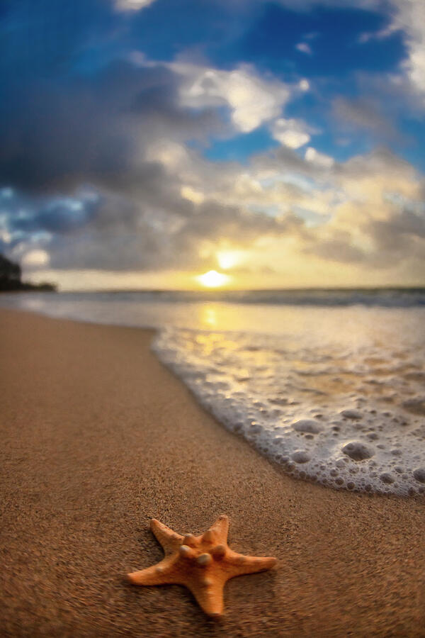 Beach Bubbles Photograph by Sean Davey - Fine Art America