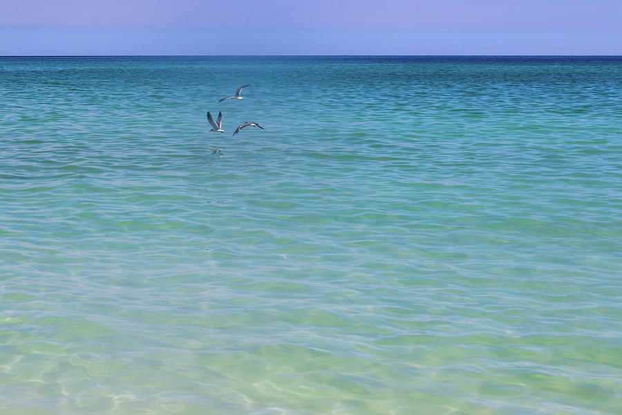 beach-company-photograph-by-keyon-mack-fine-art-america