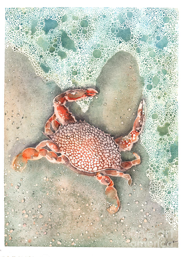 Beach Crab Painting by Hilda Wagner