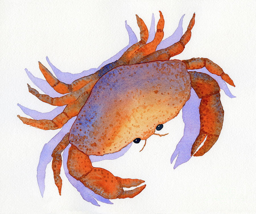Beach Crab Painting by Norma Appleton