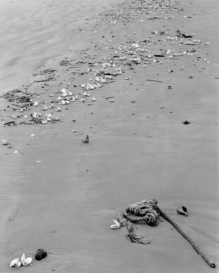 Beach, Cumberland Island, 1987 Photograph by John Simmons