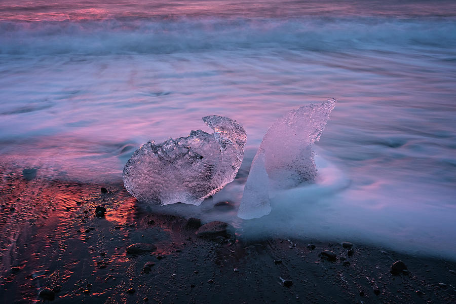 Beach Diamonds Photograph by Catherine Reading