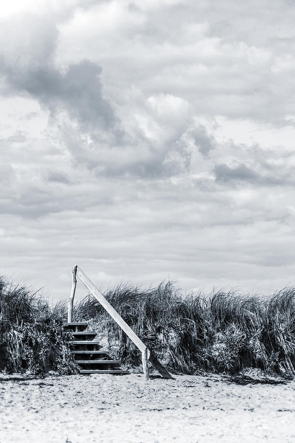 Beach Dreams in Black and White Photograph by Tammy Wetzel