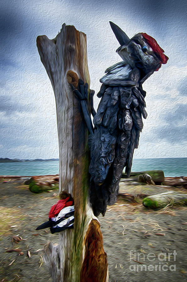 Beach Driftwood Art 2 Photograph by Bob Christopher