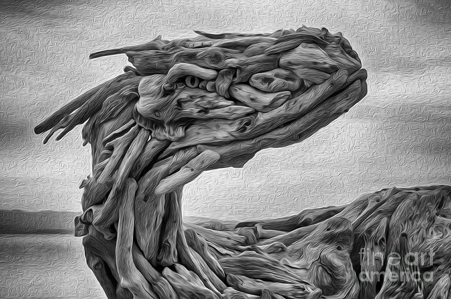 Dinosaur Photograph - Beach Driftwood Art 9 by Bob Christopher