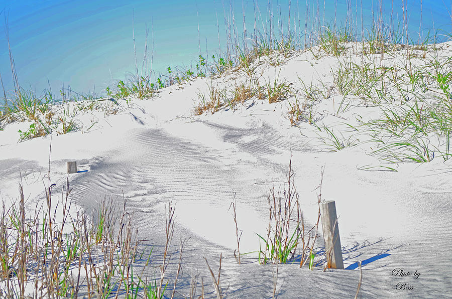 Beach dune Photograph by Bess Carter