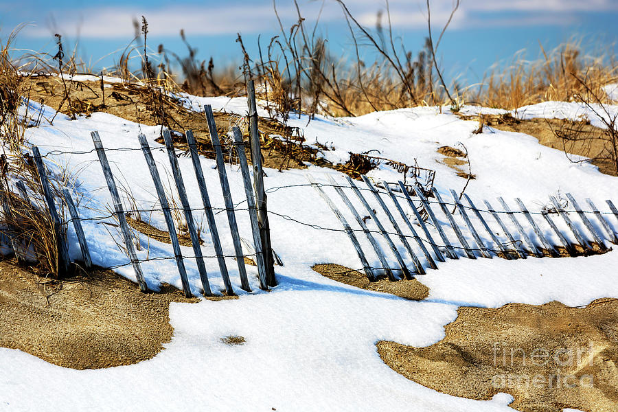 Beach Dune in Winter at Sandy Hook Photograph by John Rizzuto