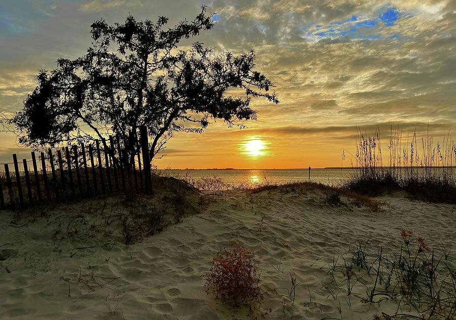Sunset Photograph - Beach Dunes Jeckyl Island by Frozen in Time Fine Art Photography