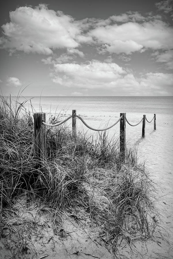 Beach Dunes Trail Black and White Photograph by Debra and Dave Vanderlaan