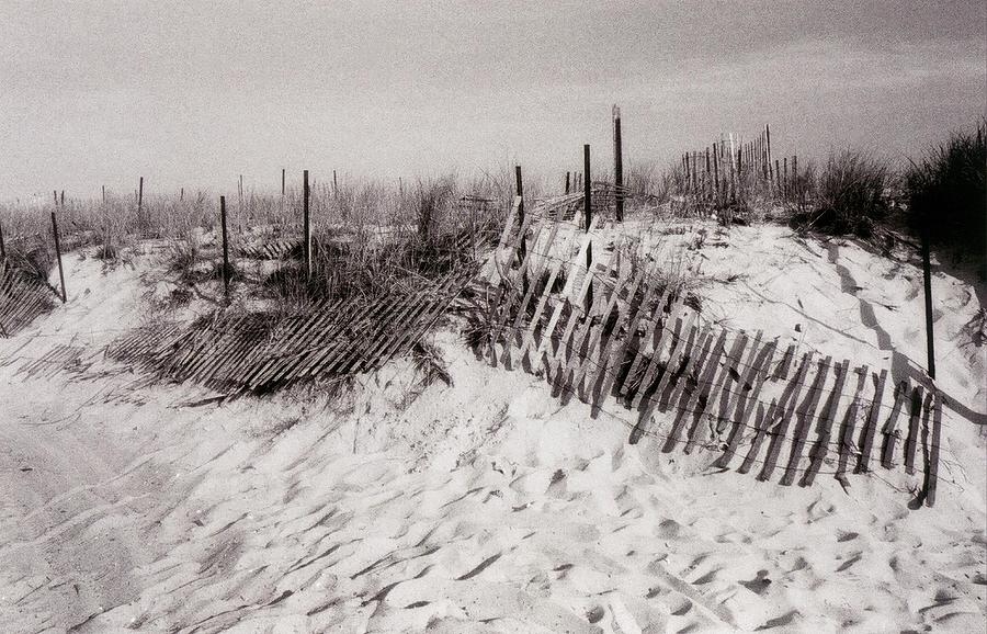 Beach Dunes with Fencing Photograph by Liza Dey