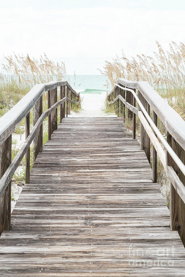 Beach Entrance Boardwalk and Sea Grass Pensacola Florida Photo Photograph by Paul Velgos