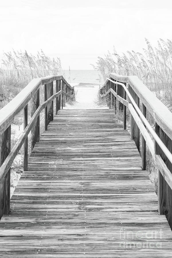 Beach Entrance Boardwalk Pensacola Florida Black and White Photo Photograph by Paul Velgos
