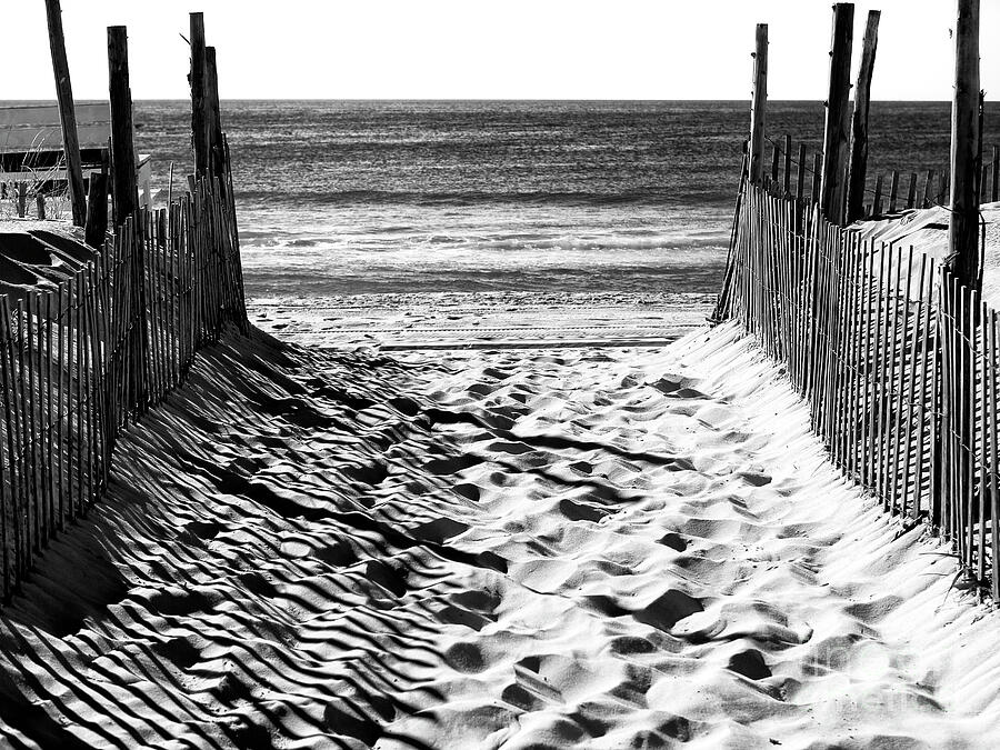 Summer Photograph - Beach Entry Black and White Long Beach Island by John Rizzuto