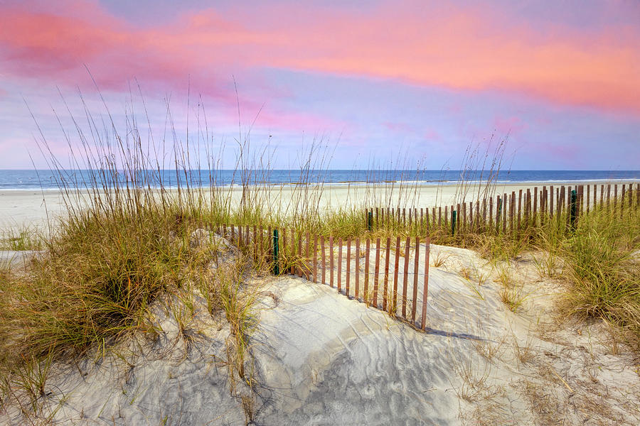 Beach Fences on the Sand Dunes Photograph by Debra and Dave Vanderlaan