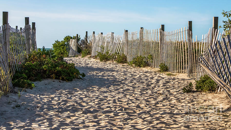 Beach Fences Photograph