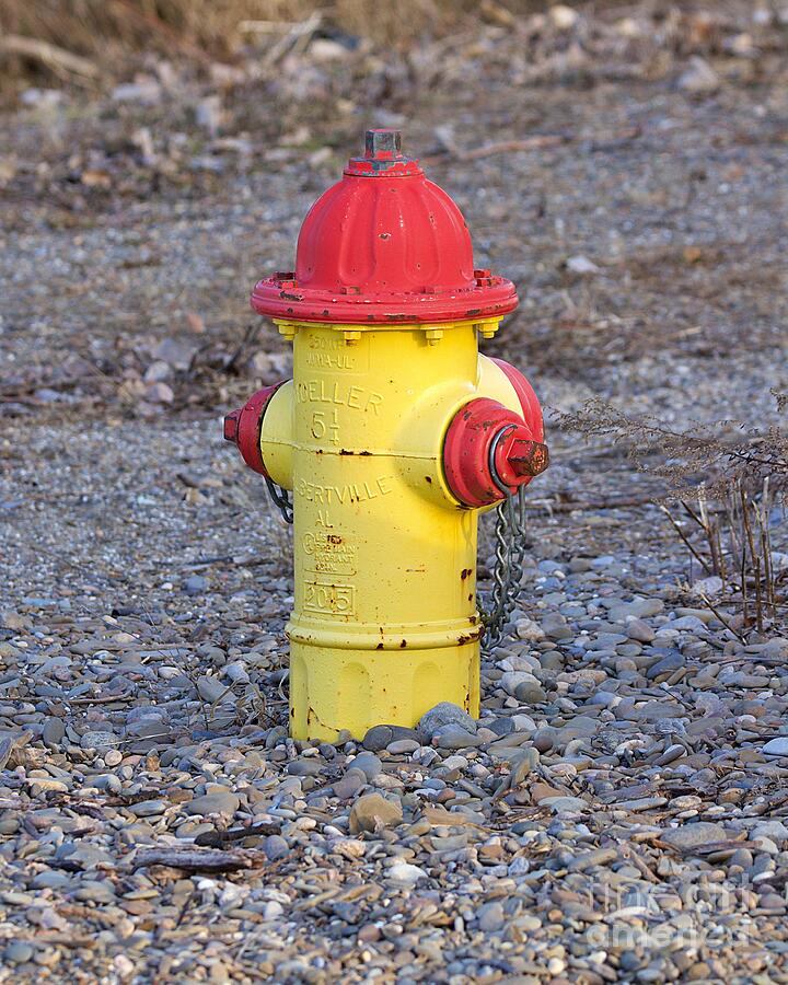 Beach Fire Hydrant Photograph by Yvonne M Smith