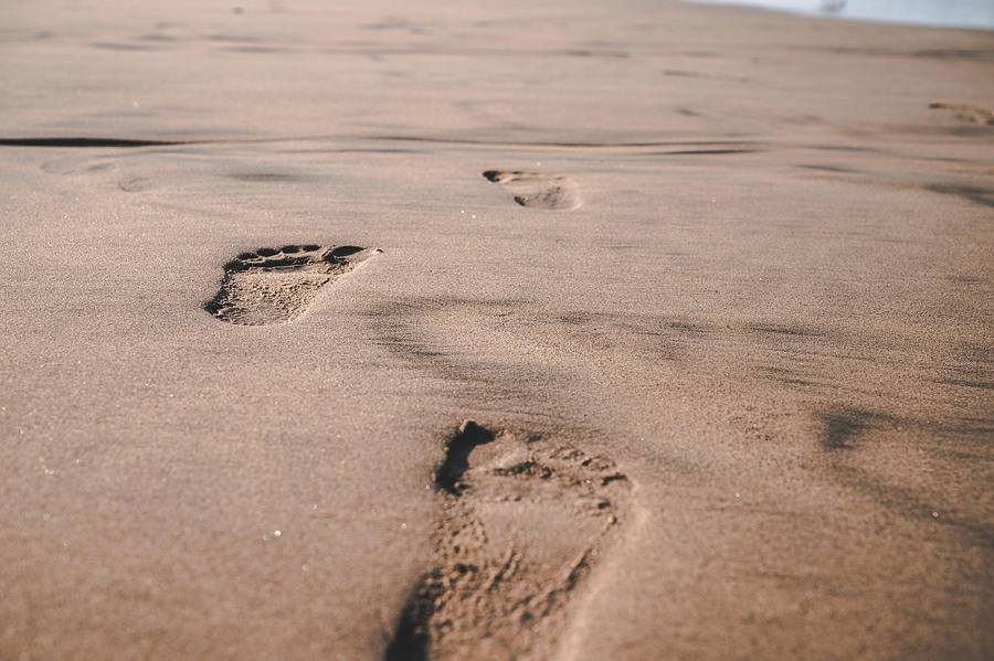 Beach Footprints Photograph by Monica Lynn - Fine Art America