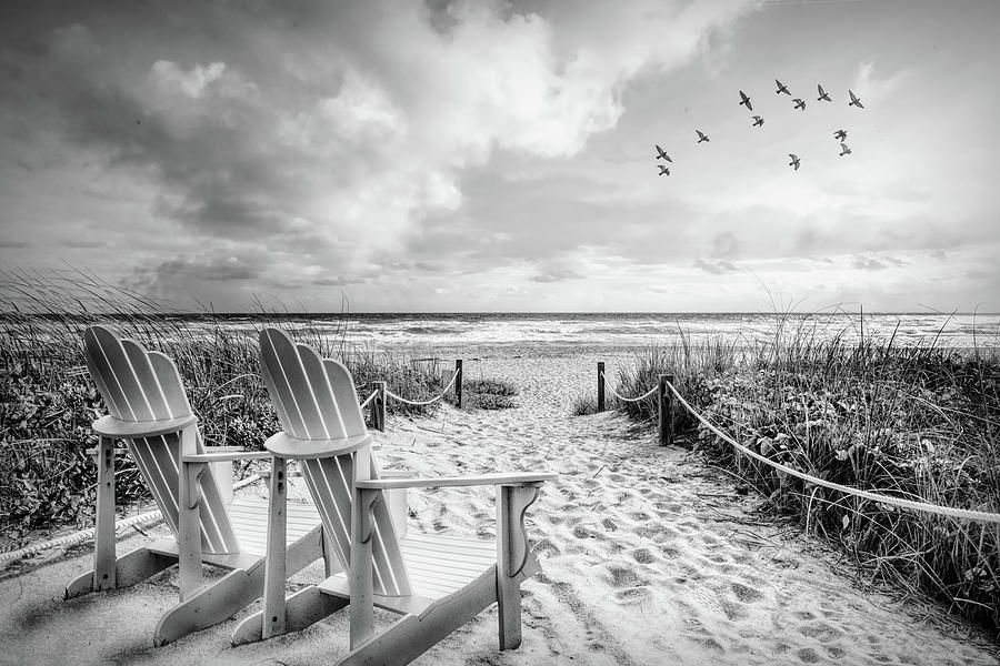 Beach Glow Black and White Photograph by Debra and Dave Vanderlaan