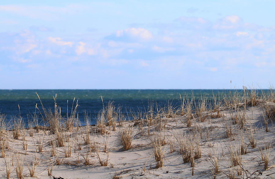 Beach Grass and Sea Photograph by Living Color Photography Lorraine Lynch